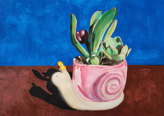 Succulents in a Snail