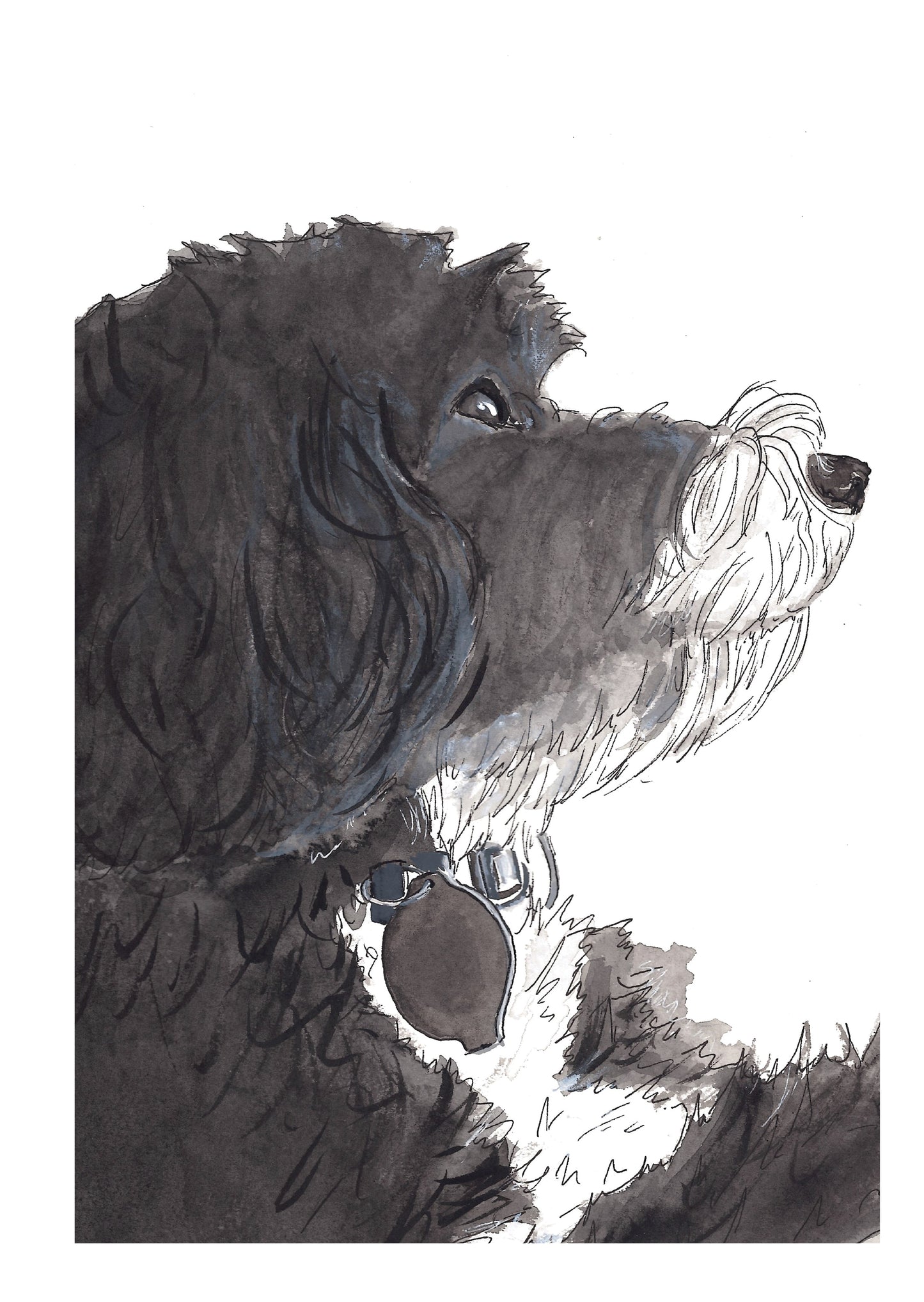 Chester Greeting Card