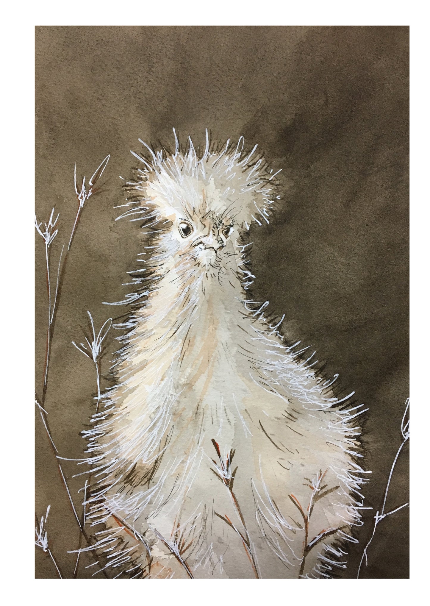 Cottonhead Greeting Card