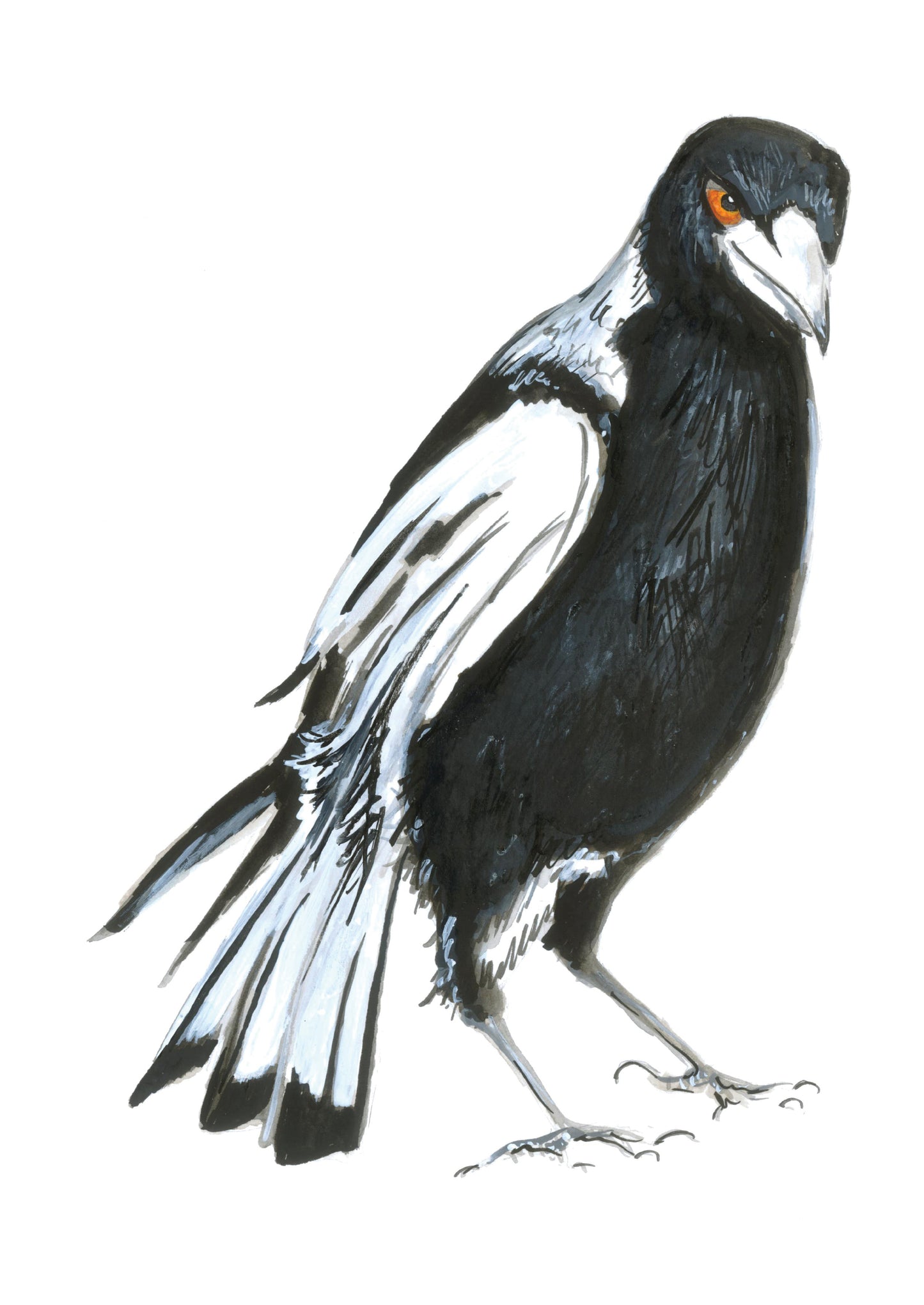 Murray Greeting Card