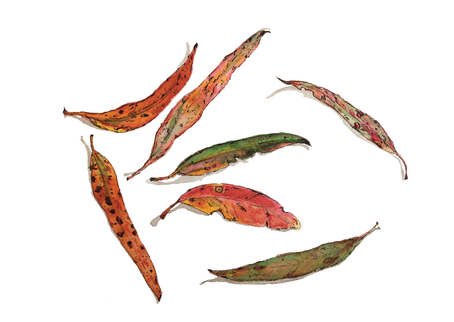 Scattered Leaves Greeting Card