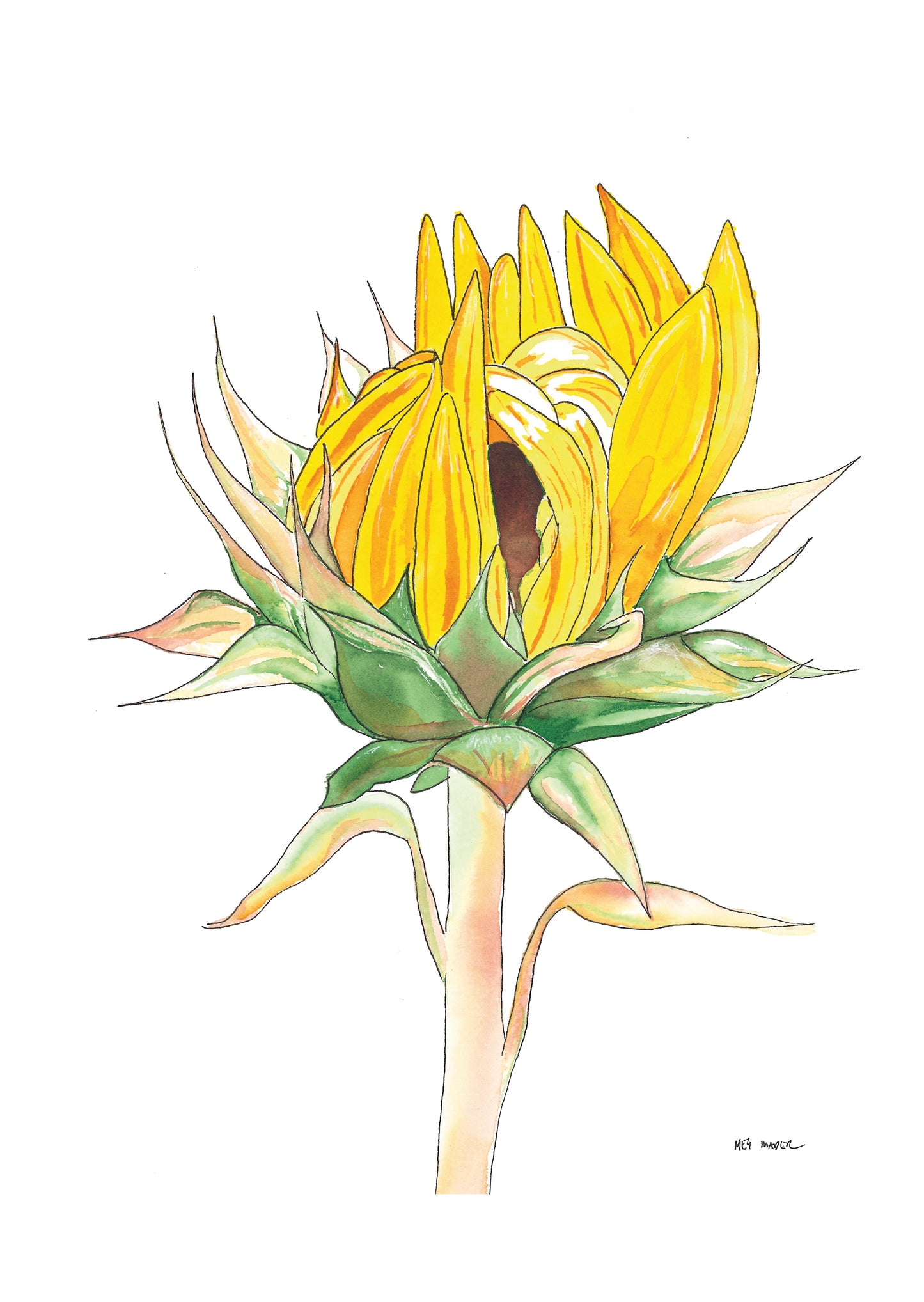 Sunflower Greeting Card