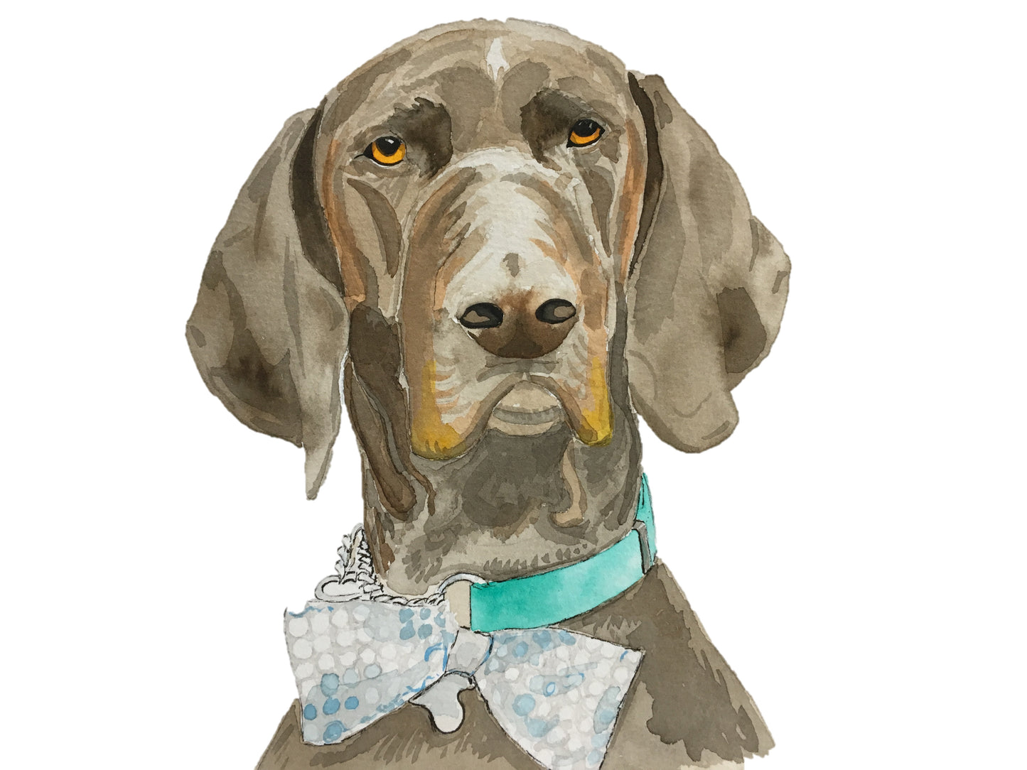 Small Single Pet Portrait Commission - Unframed
